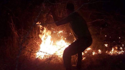Albania appeals to Greece for help as wildfires threaten national park